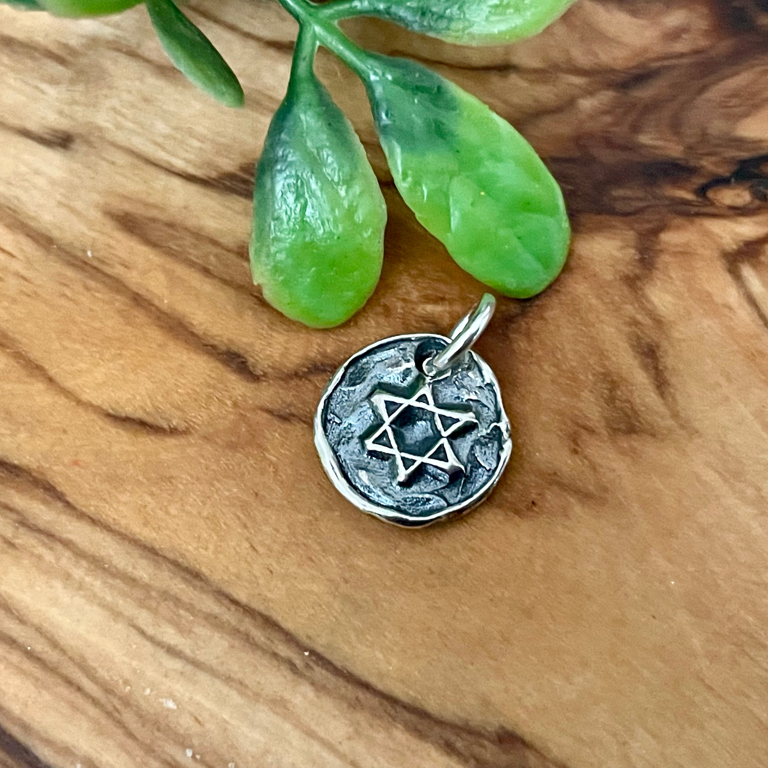 Silver pendant with Star of David on a wooden surface with green leaves